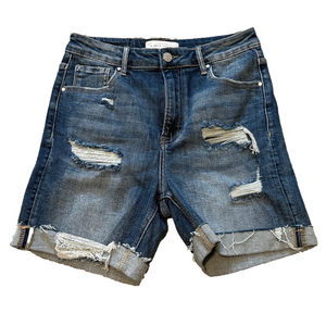 RISEN Denim Jean Shorts sz M